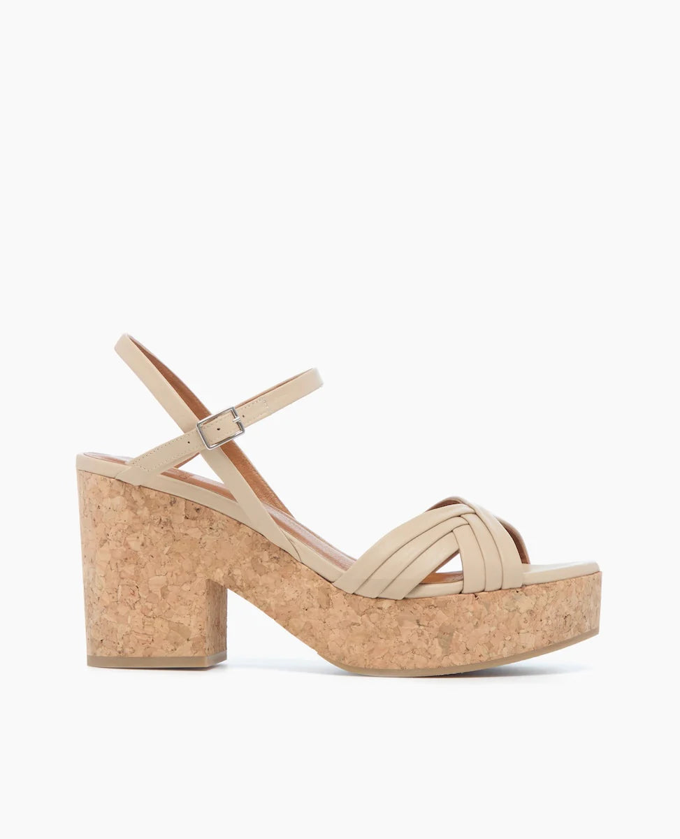 COCLICO Bee Wedge