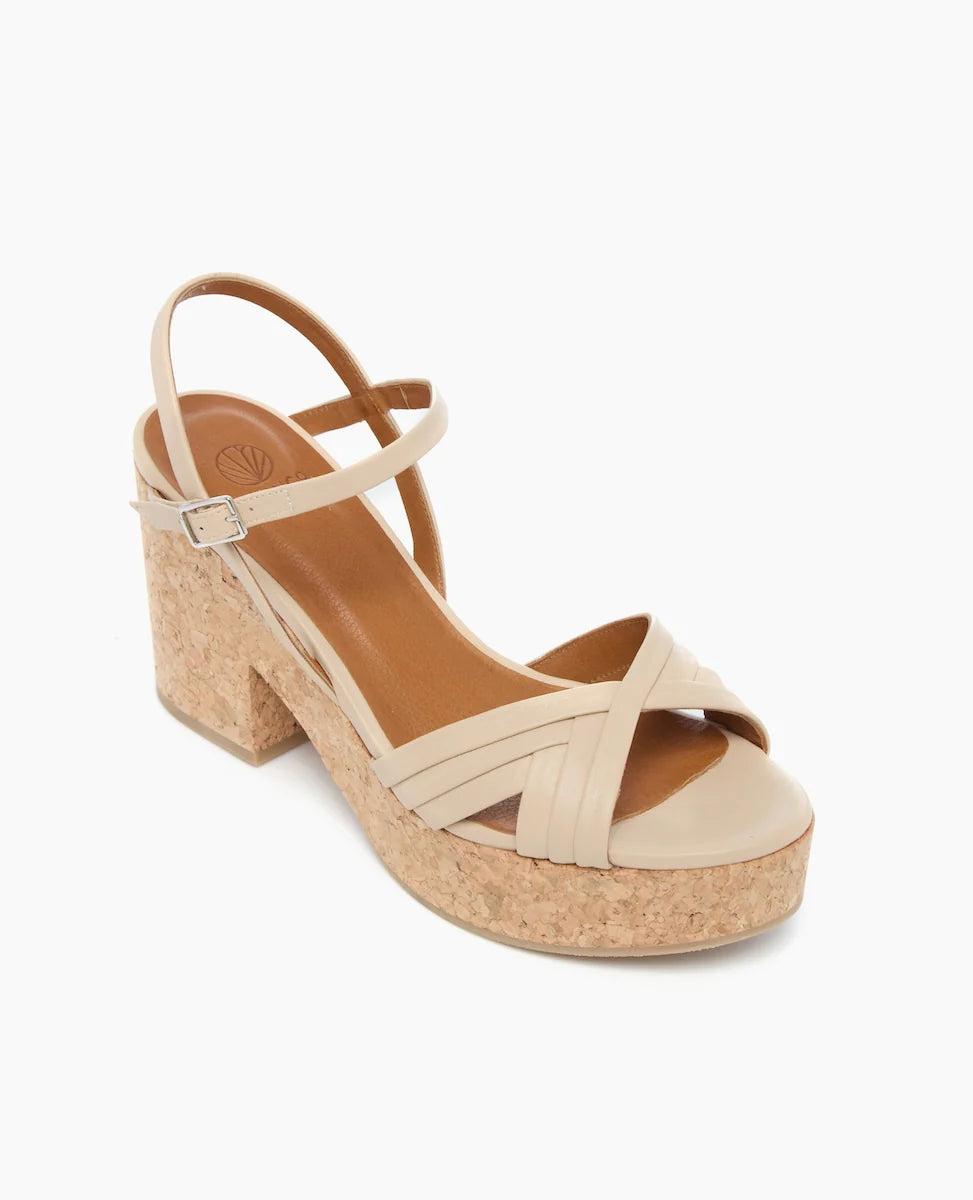 COCLICO Bee Wedge