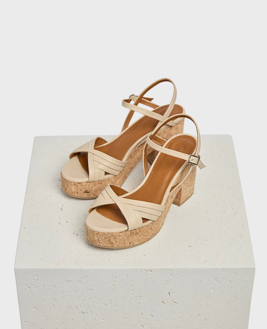 COCLICO Bee Wedge